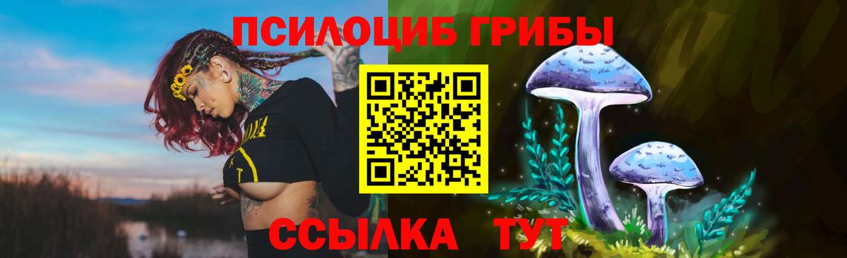 Псилоцибиновые грибы Cubensis  Галлюциногенные грибы Psilocybe  Вход с VPN  Шали 